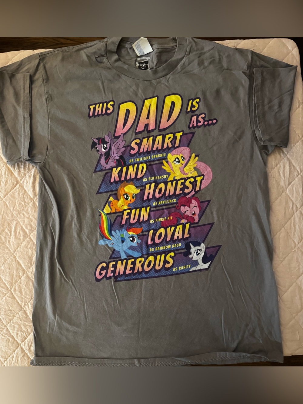 Hasbro My Little Pony Dad Graphic Tee - Gray with Multicolor Print